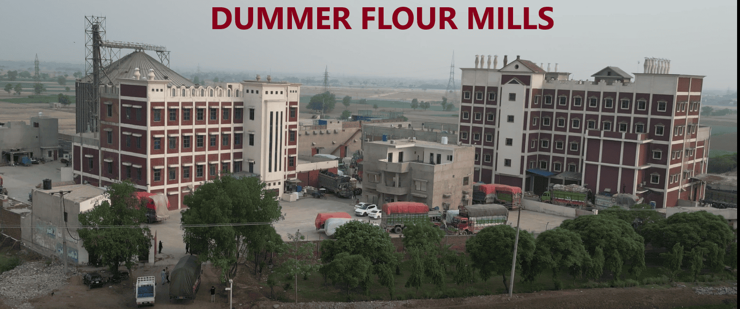 Dummer Flour Mills
